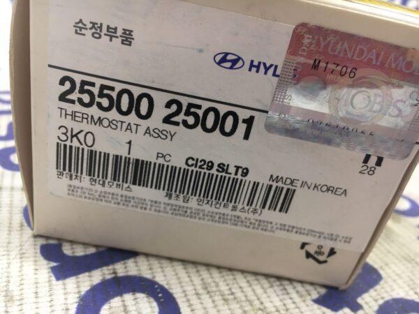 Термостат Hyundai Sonata NF